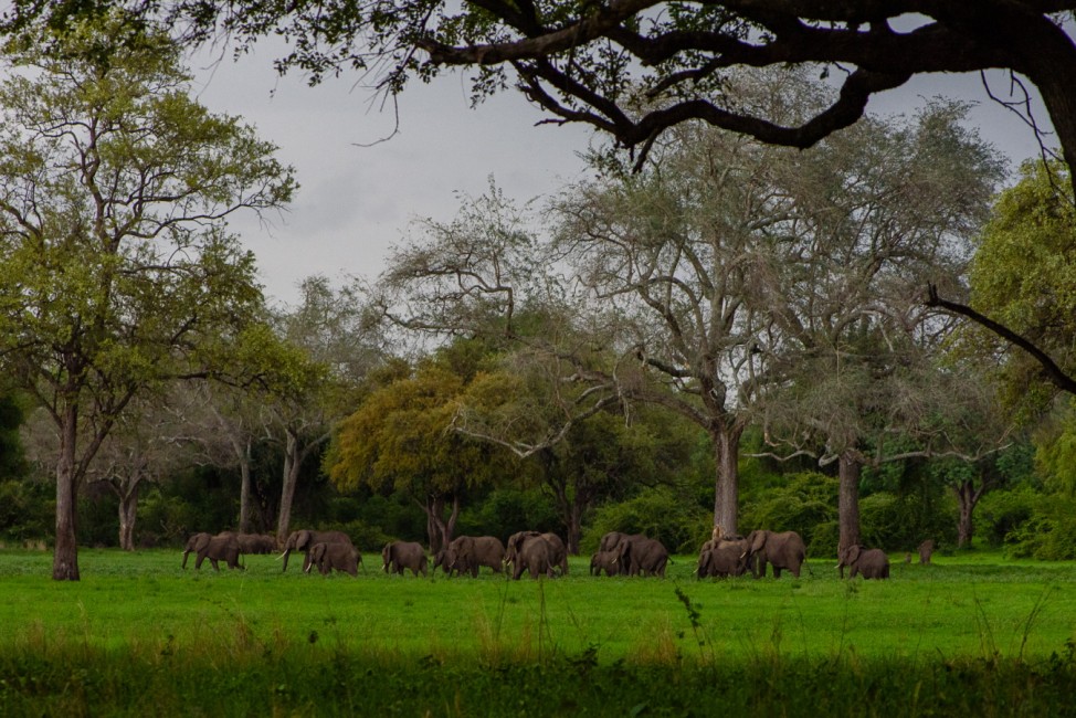 Afrika Wildlife Natur Reisefotograf Kempf-Seifried Safari
