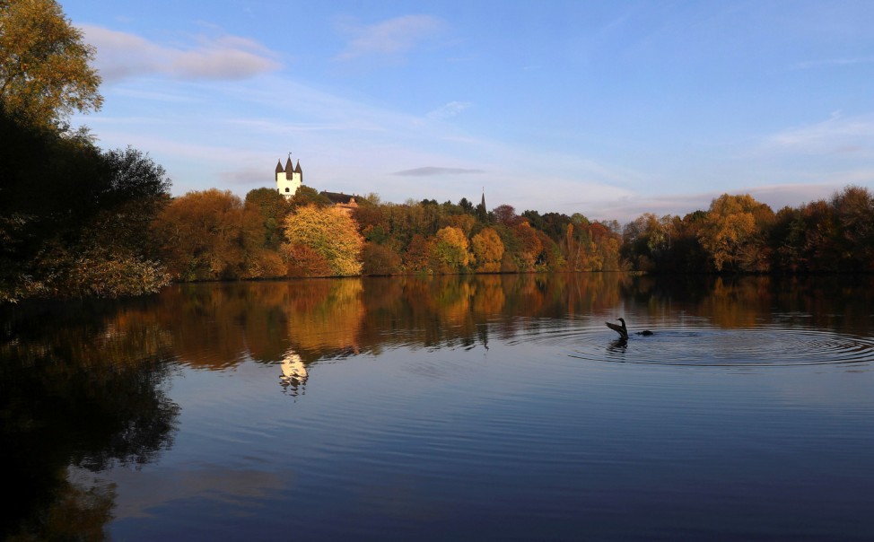 Two ducks are seen on river Main near Hanau