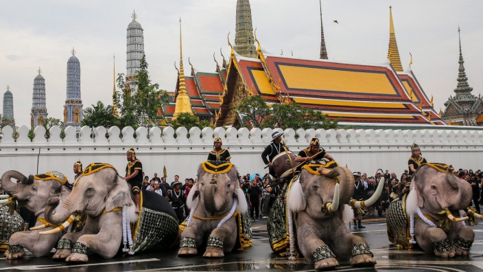 Elephants parade to honor the late Thai King Bhumibol Adulyadej