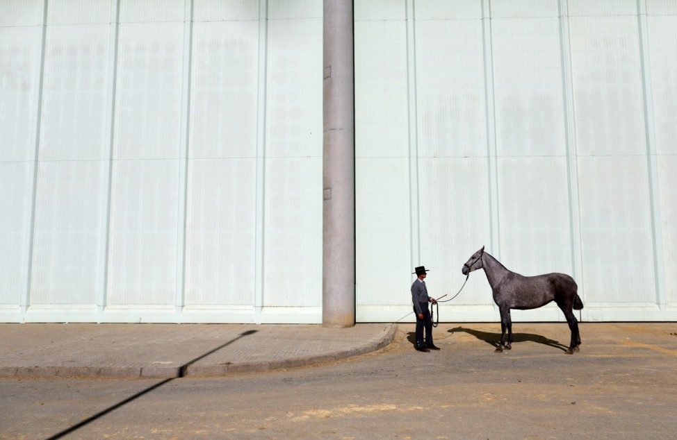 Andalusian horseman waits with his purebred Spanish horse to compete in a morphological contest during the Sicab International Pre Horse Fair in the Andalusian capital of Seville