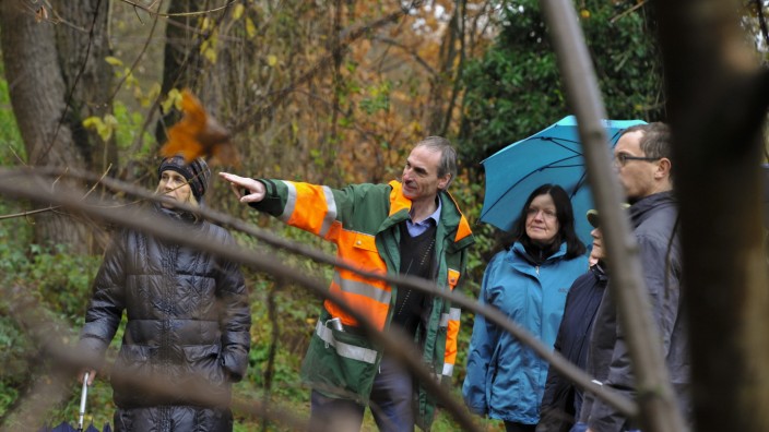 Pasing: Der muss weg: Rudolf Schimmer (Mitte) und seine Kollegen erläuterten die anstehenden Baumpflegearbeiten im Pasinger Stadtpark.