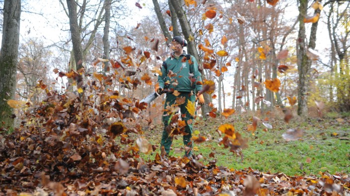 Schlösserverwaltung: Drako Kovrlija pustet mit dem 5,3 Kilogramm schweren Rückenbläser das Laub vom Rand der Büsche und Bäume weg - und dabei die Blätter bis zu 2,50 Meter hoch in die Luft.