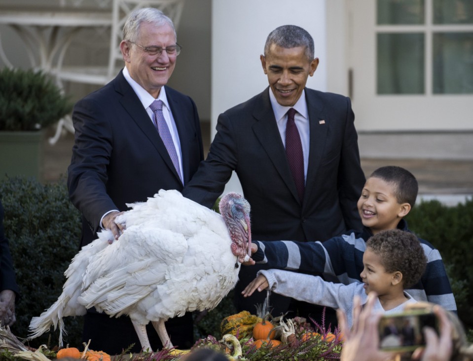 US President Barack Obama pardons the National Thanksgiving Turke