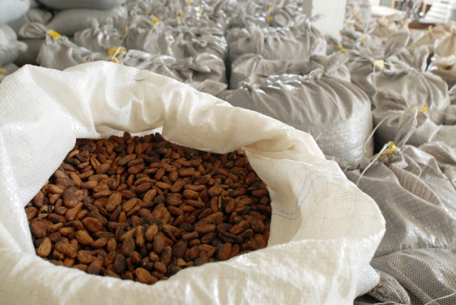 Spekulationen treiben Kakaopreis auf Rekordhöhe