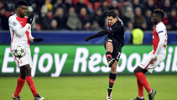 Bayer Leverkusen: Javier Hernández, genannt, Chicharito, schießt in der Champions League gegen AS Monaco am Tor vorbei.