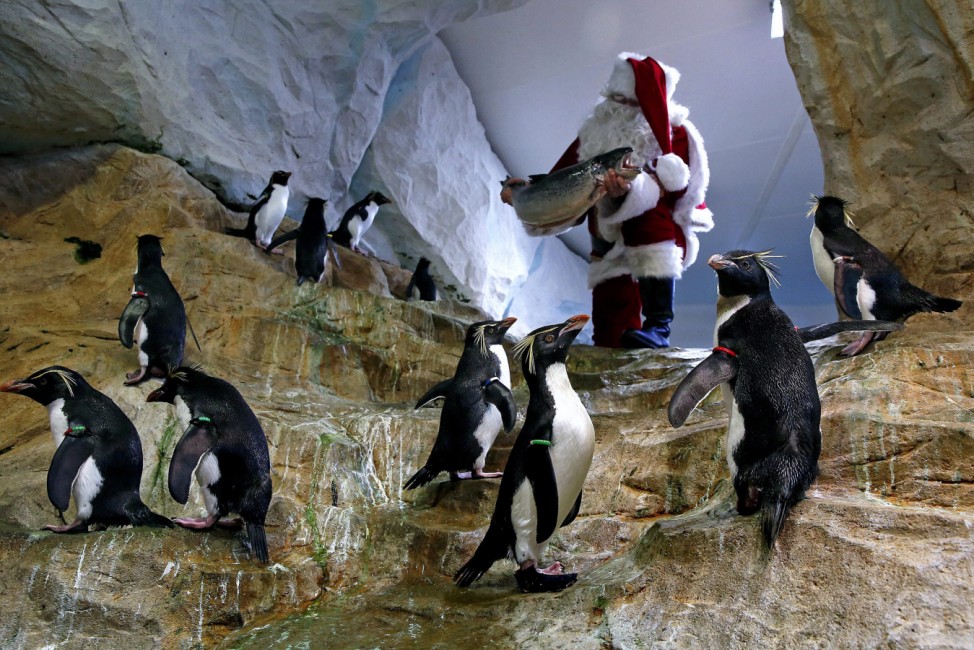 Santa Claus visits animal exhibition park Marineland in Antibes