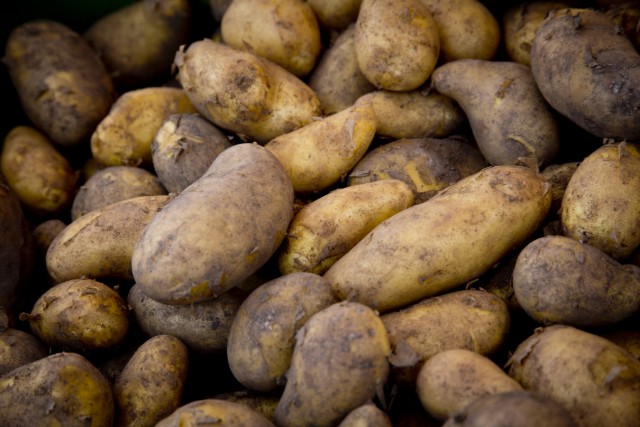 Nürnberg: Kartoffel zum Verkauf auf dem Hauptmarkt