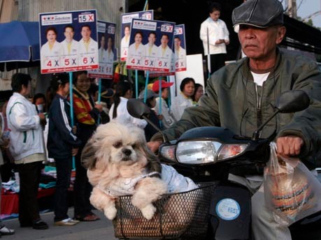 Thailand Mann Hund; Reuters