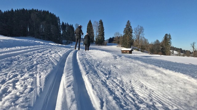 Langlauf Loipe Lenggries Bad Tölz Oberland Voralpen Langlaufen