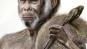 Urmenschen: Der Homo floresiensis in einer Illustration der University of Wollongong.