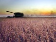 Bayer kauft Monsanto für 66 Milliarden Dollar