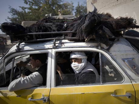 Viehtransport in Afghanistan;ddp
