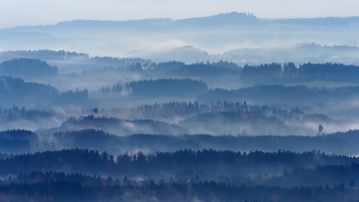 Nebelschwaden bedecken Waldsenken