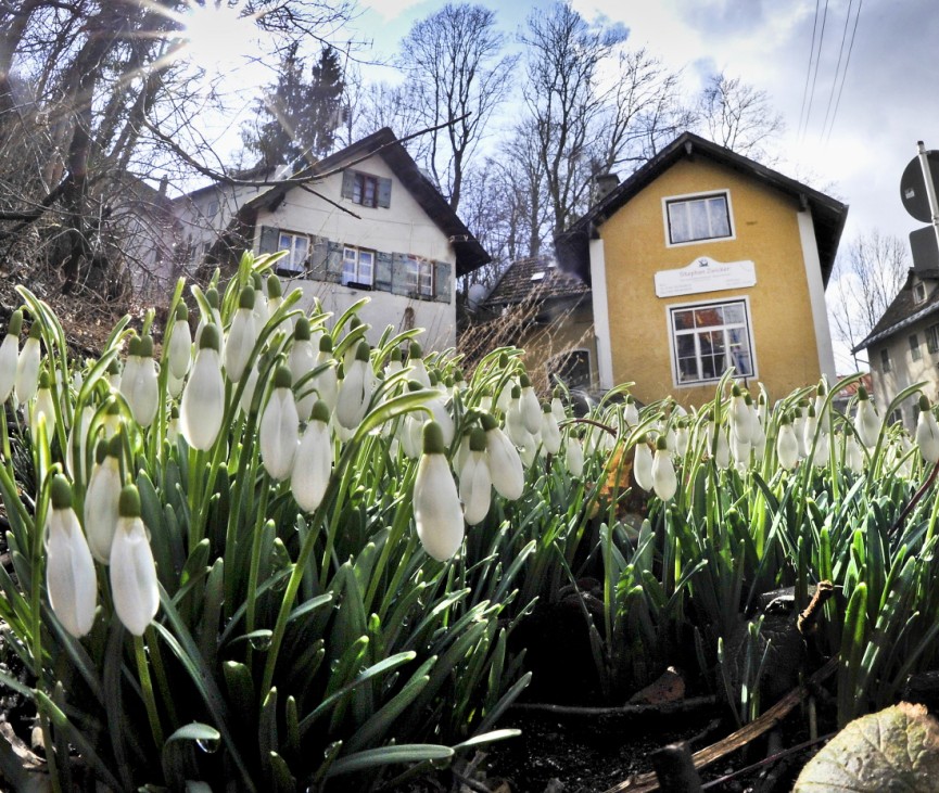 Starnberg Frühling