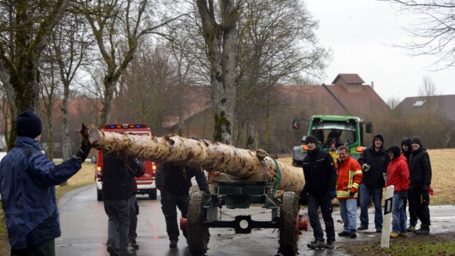 Burschenvereine: Mit dem Einholen des Maibaums hat in Grasbrunn die Wachhüttnzeit begonnen.