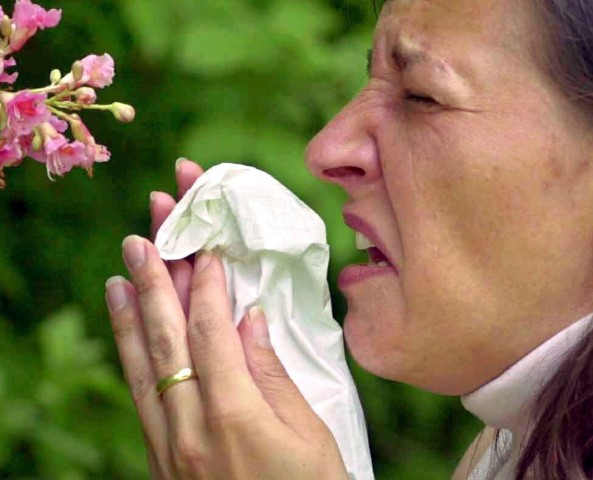 Schneller Wetterwechsel macht Allergikern zu schaffen
