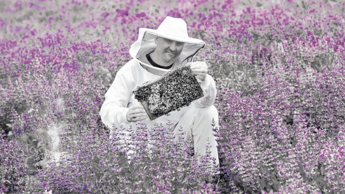 Imker-Ausbildung: Viele Imker reisen mit ihren Bienenvölkern in weit entfernte Regionen, in denen gute Erträge zu erwarten sind.