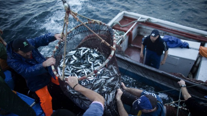 Fishermen, with the help of a crane, pull sardines onto a fishing boat using the purse seine fishing method in Matosinhos
