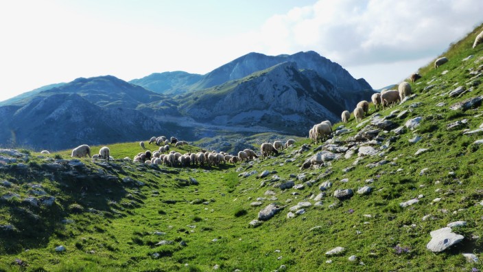 Die Via Dinarica ist ein über 2000 Kilometer umfassendes Fernwanderwegenetz in den Dinarischen Alpen -- für die Reise.