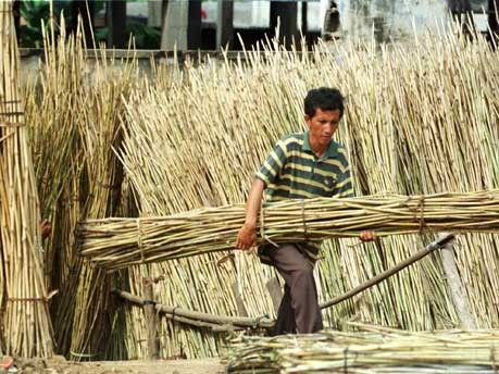 bambus arbeiter verkauf kambodscha