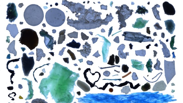 Umweltverschmutzung: Eine Collage der typischen Plastikteilchen, die in arktischen Gewässern schwimmen