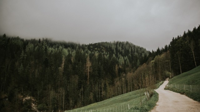 Wölfe in Bayern: In der Einsamkeit der Berchtesgadener Alpen verscheuchen die Hunde meist nur Wanderer.