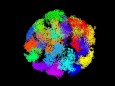 Genom von einer embryonalen Mausstammzelle
