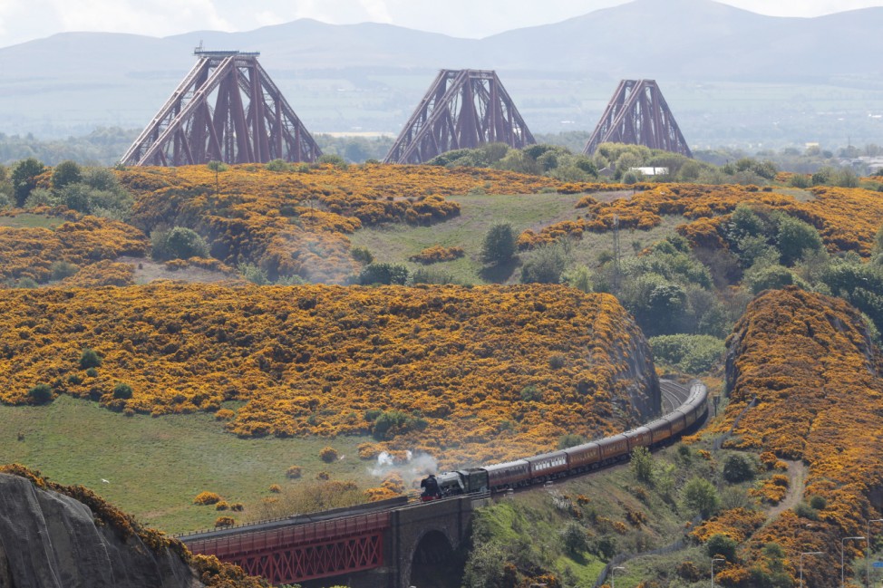 The Forth Bridge dominates the background as the Flying Scotsman steam train travels through the Fife countryside, during a tourist trip to the Scottish region and a visit to Edinburgh