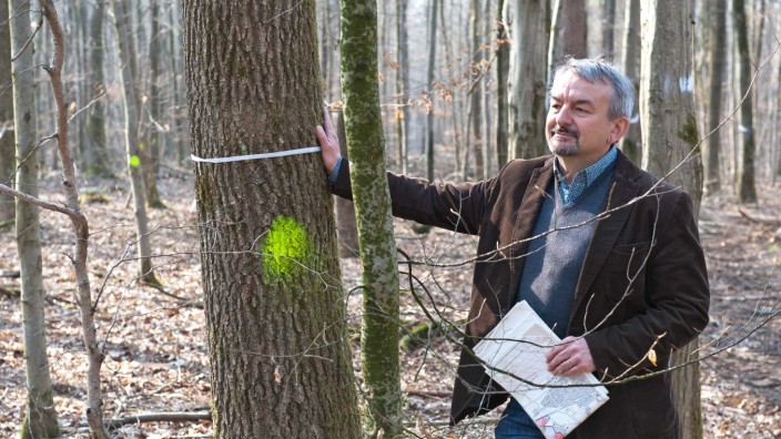 Forstinning: Der gelbe Punkt markiert den Verlauf der geplanten Umfahrung. Forstamtsleiter Heinz Utschig führte am Samstag durch den Wald.