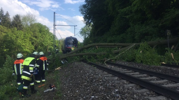 Umgestürzter Baum stoppt Züge bei Aßling