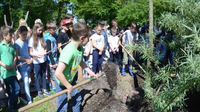 Klettergerüst, Schaukeln und ein Trampolin: Bei herrlichem Sonnenschein haben die Kinder der Grundschule Dachau-Süd einen Baum gepflanzt.