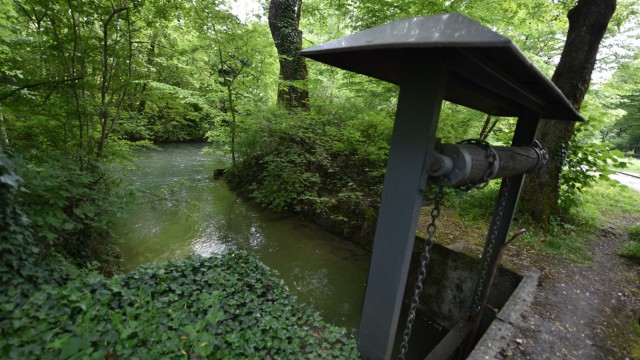Tierpark: Der Zulauf des Baches wird über ein kleines Holzwehr geregelt.