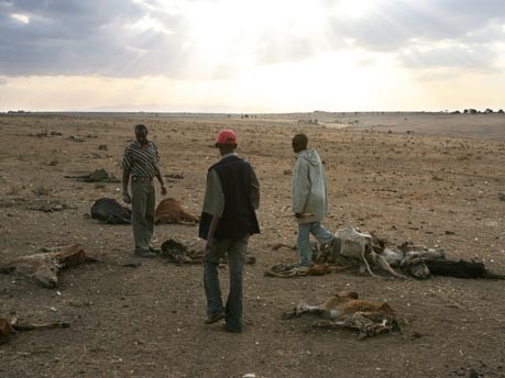 Dürre Kenia