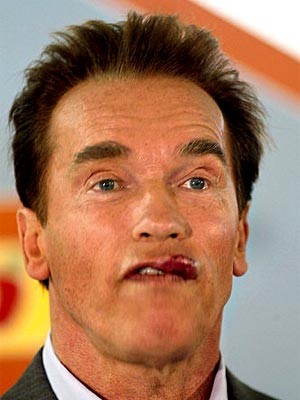 Günter Wallraff Arnold Schwarzenegger
