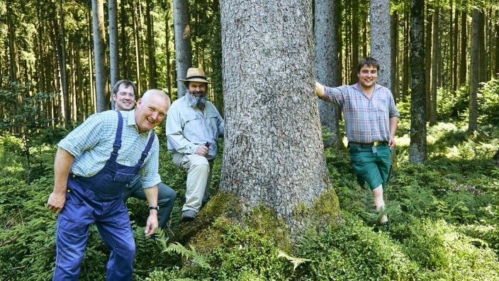 Staatspreis Waldbewirtschaftung  Steingau
