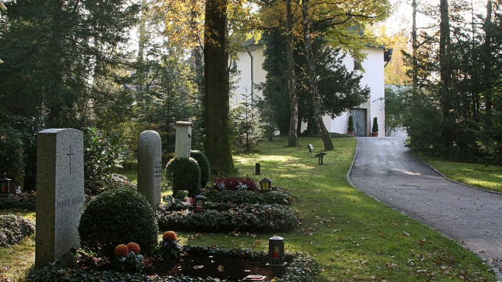Gebühren: Neben den klassischen Gräbern gibt es auf dem Waldfriedhof nun auch die Möglichkeit der Baumbestattung.