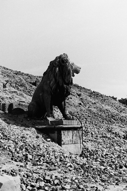 Löwenstatue im Schutt, 1945