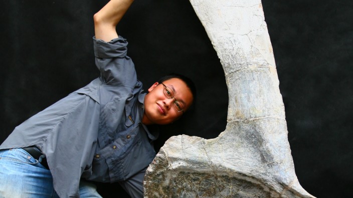 Dinosaurier: Lida Xing mit dem Schulterblatt eines seiner Forschungsobjekte.