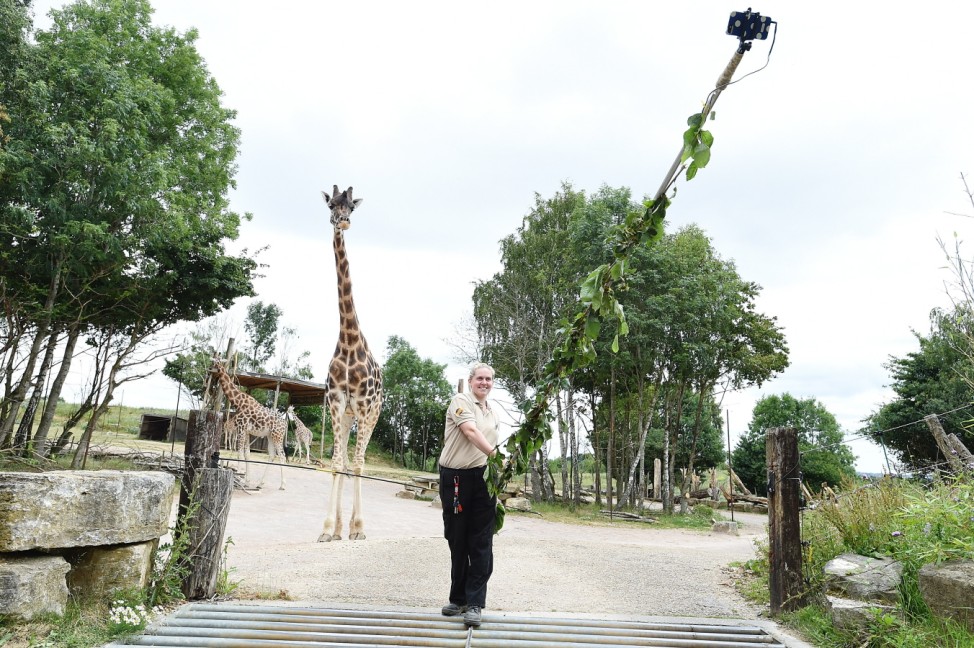 Chessington Giraffe Go Wild For Neck-stra Long Selfie Stick