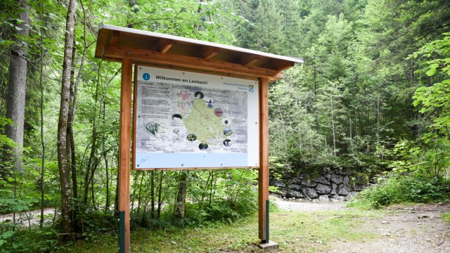 Lernen am Wasser: Schautafeln informieren die Wanderer zu Flora, Fauna und die gefahren am Wildbach.
