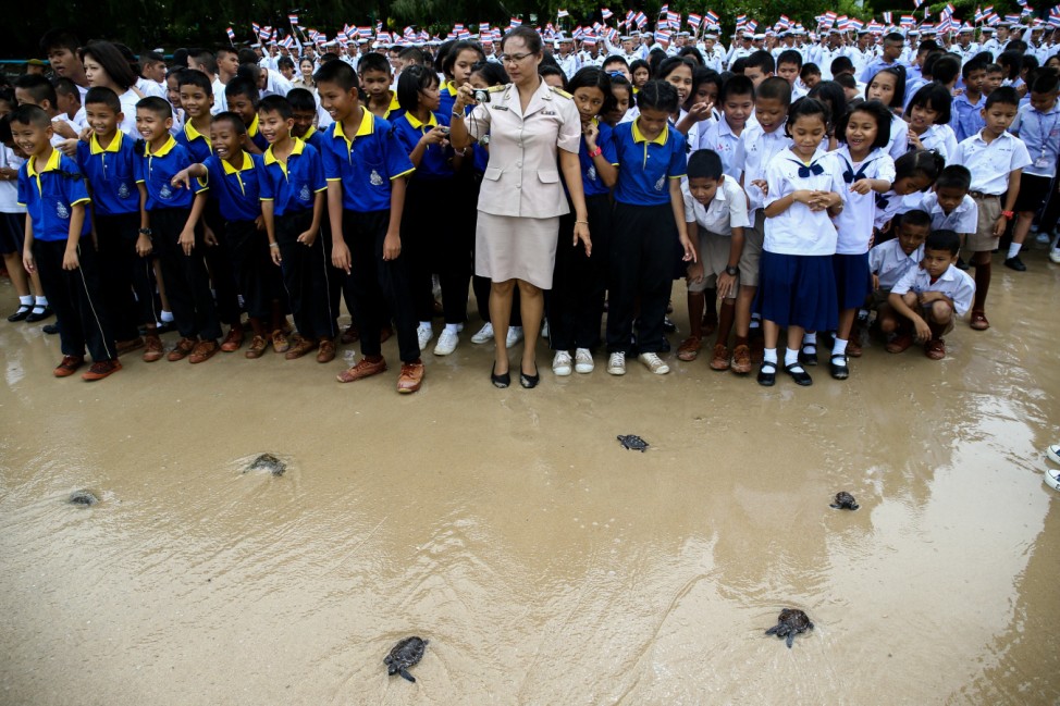 Well-wishers release sea turtles at the Sea Turtle Conservation Center as part of the celebrations for the upcoming 65th birthday of Thai King Maha Vajiralongkorn, in Sattahip district