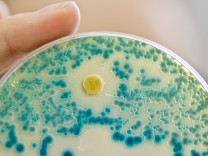 Medizin: Neue Antibiotika gegen resistente Bakterien