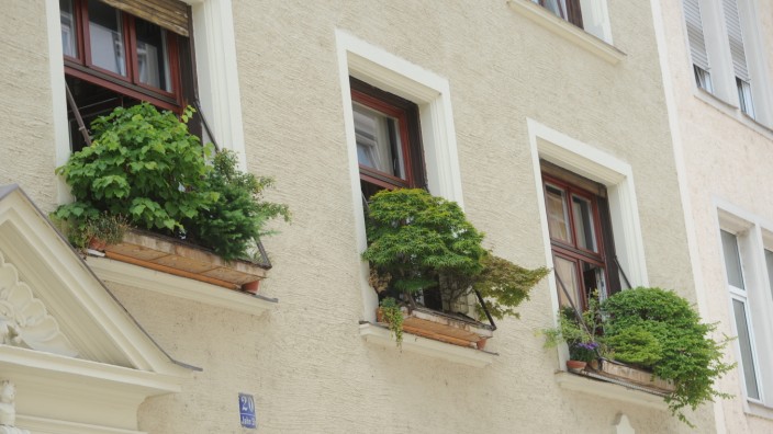 Glockenbachviertel: Bonsai statt Geranie vor den Fenstern - es ist idyllisch an manchen Stellen im Glockenbachviertel.