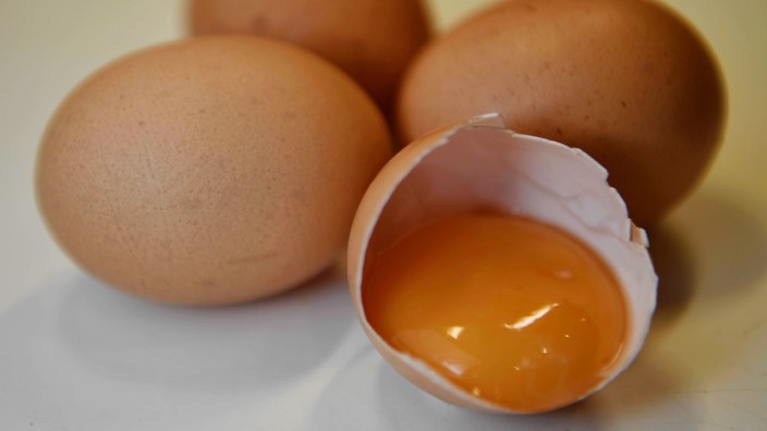 Mit Fipronil belastete Eier gelangen immer wieder in den Handel.