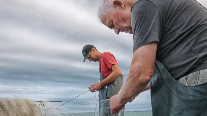 Fischerei: Mit Treibnetzen gehen Roland Stohr und sein Vater Peter weit draußen am Bodensee auf die Jagd nach Felchen.