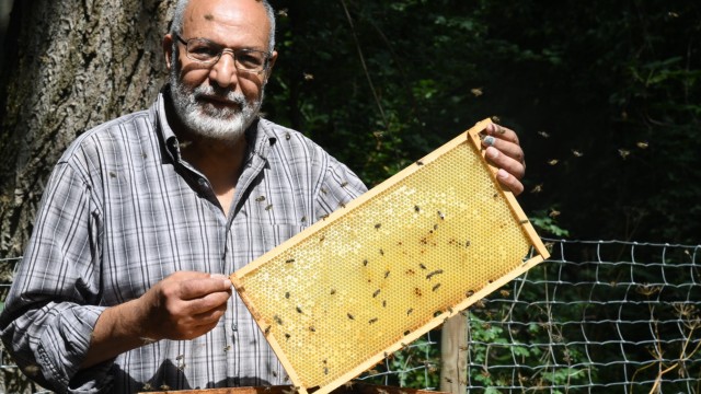 Umwelt: Der Garchinger Aly Hassanein kümmert sich ohne Schutzkleidung um seine Bienen.