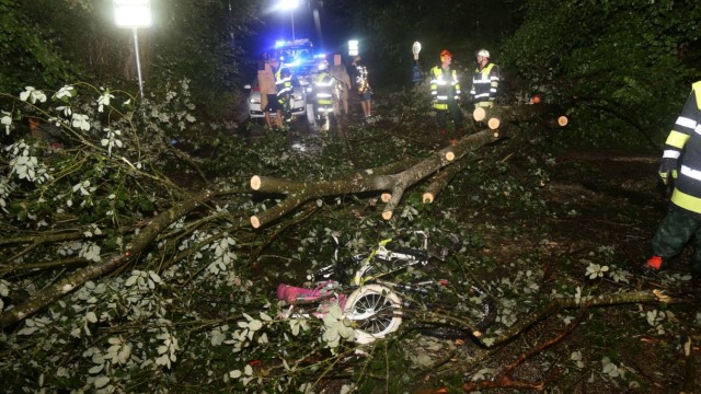 Unwetter: Ein umgestürzter Baum hat zwei Menschen verletzt.