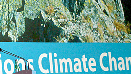 Al Gore auf Weltklimakonferenz in Posen; dpa