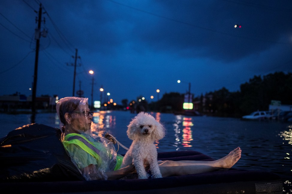 A rescue helicopter hovers in the background as an elderly woman and her poodle use an air mattress to float above flood waters from Tropical Storm Harvey while waiting to be rescued from Scarsdale Boulevard in Houston
