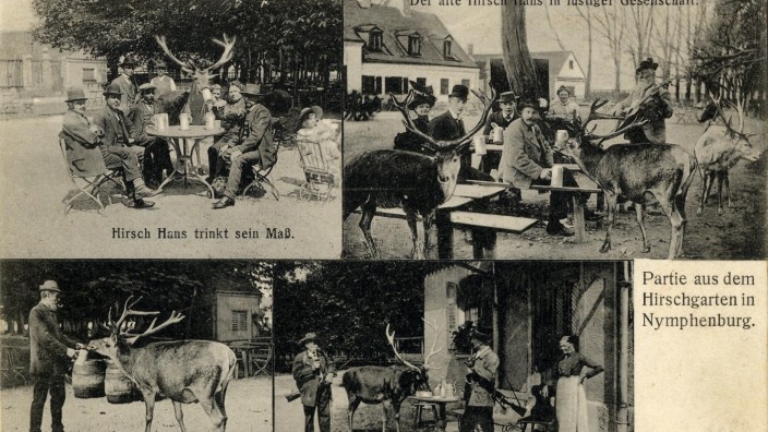 Geschichte: Hansl der Hirsch im Biergarten Hirschgarten - historische Postkarten aus den frühen 20er Jahren.